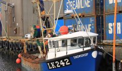 Snowdrop_LK242