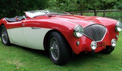 1955 Austin Healey