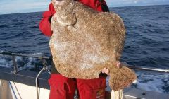 Robert McMillan with his record breaking turbot.