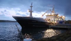 Peterhead pelagic trawler Quantas lands mackerel at Shetland Catch on Friday. Pic. Shetnews