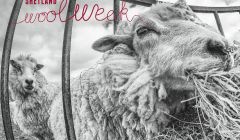 Shetland Wool Week - Photo: Dave Wheeler