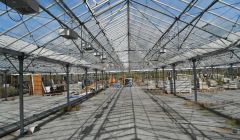 Inside the redundant Tingwall glasshouse. Photo Transition Shetland