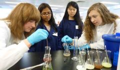 Biology day: Morven Davies and Bronagh Goodlad search for the presence of starch and DNA in samples.