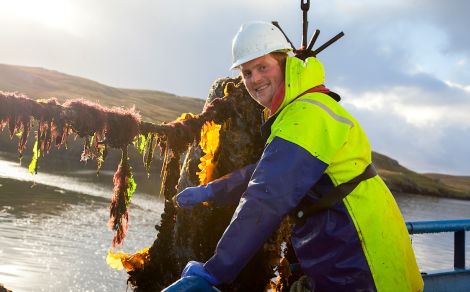 Stephen Wilson, boatman at Shetland Mussels Ltd getting ready to release a mussel dropper for harvest in Vaila Sound, Walls.