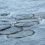 Meridian Salmon lost an entire fish farm to the 100mph gales at Christmas 2011.