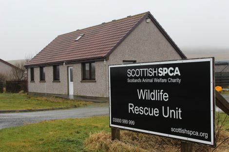 The wildlife rescue unit in Gott, which is due to close in February. Photo Shetnews