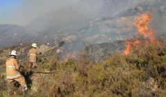 The fire service was stretch to its limit last year dealing with hundreds of wildfires - Photo: SFRS