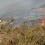 The fire service was stretch to its limit last year dealing with hundreds of wildfires - Photo: SFRS