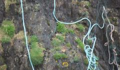 Rope and monofilament net hanging from the cliffs at Calders Geo after being illegally dumped.