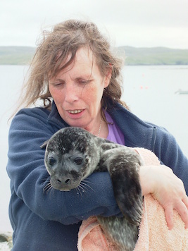 Jan Bevington caring for a selkie at Hillswick Wildlife Sanctuary.