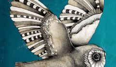 The artwork for Adam Guest's EP 'Open the Book'.