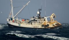 Shetland white fish trawler Defiant LK371. Photo SFA