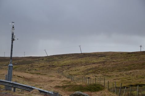 Hydro poles looking at life from a different angle. Photo: Shetnews