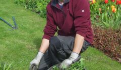The SIC's blogging gardener Liam Anderson - Photo: SRUC