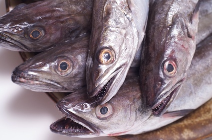 Hake quotas are highlighted by the NAFC study as needing to be re-examined.