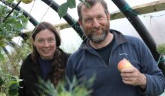 Enjoying some Shetland grown apples: Sue Hinton and Tom Jenkinson in one of their two poly clubs - Photos: Hans J Marter/ShetNews