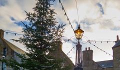 The Market Cross christmas tree waits to be lit up. Photo Chris Brown