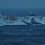 Serco NorthLink's passenger ferries are again facing weather-related disruption this week. Photo: Ronnie Robertson