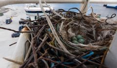 The crow's nest in the crow's nest of the Adenia.