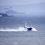 The Scalloway harbour pilot boat brings ashore the rescued crew of the yacht Miracle after being taken off the anchor handling vessel REM Gambler (in the background) which picked them up from a liferaft 50 miles south west of Shetland. Photo Chris Brown
