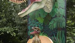 Not exactly roaming the woods of Aith: Tyrannosaurus Rex with baby T Rex - all photos: Ray Ferrie