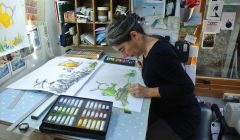 Children's author and illustrator Debi Gliori at work in her studio.