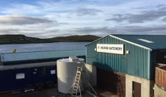 The hatchery at the NAFC Marine Centre in Scalloway. Photo: Scottish Aquaculture Innovation Centre