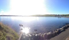 Hillswick basking in the sunlight in early October. Photo: Fiona Cope