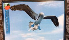 The postcard from the Galapagos arrived more than two years after it was sent.