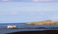 A salmon farm in Vidlin voe. Although technological developments may make it possible in the future, the industry says there are no imminent plans for a huge salmon farm.