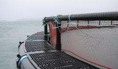 One of the Triton pens purchased by Cooke Aquaculture.