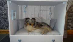 Old furniture is being 'upcycled' into plush dog beds.