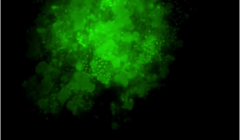 Marine Oil Snow from Faroe-Shetland Channel - Image: Heriot-Watt University