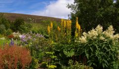 Lea Gardens at Tresta.