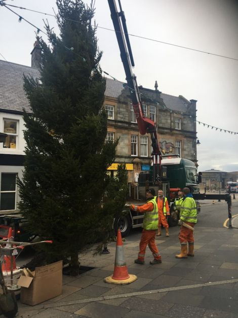 council workers erecting this year's Christmas tree at Lerwick's Market Cross - Photo: SIC