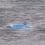 A can bank in the sea in Uyeasound in Unst. Photo: Steven Spence