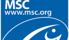 The MSC eco label was first granted in 2012.