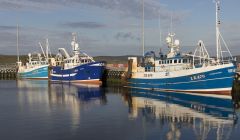 Three whitefish boats at Lerwick Harbour.