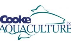 cooke aquaculture