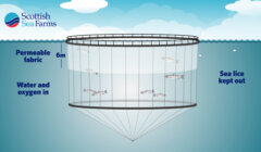Scottish Sea Farms have now said they will invest £800,000 into implementing sealice shields. Image: SFF