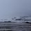 The white stuff returned to Gulberwick following snowfall overnight.