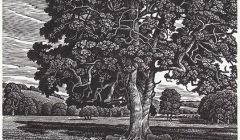 Ebble Valley Oak by Howard Phipps.