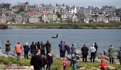 Orca watchers having a whale of a time in Lerwick in 2016. Photo: John Coutts