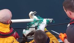 Photo courtesy of the Lerwick Lifeboat crew.