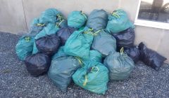 Joy Allan helped to collect 40 bags of bruck from the Black Gaet on Saturday.