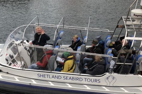 Shetland Seabird Tours are operating daily tours to Noss from Lerwick's Victoria Pier. Photo: Rebecca Nason/SST