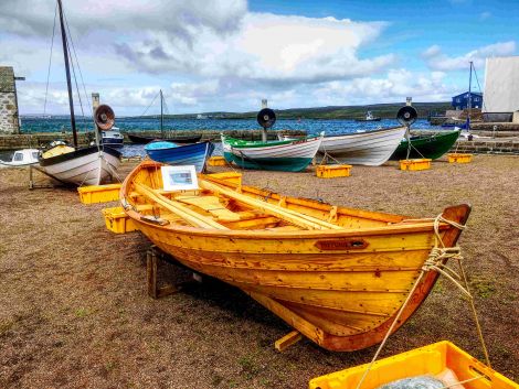 Boat week 2016