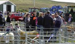 Cunningsburgh Show in full flow.