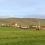 The housing would start at the north side of houses at Upper Scalloway, pictured here. Photo: Shetland News