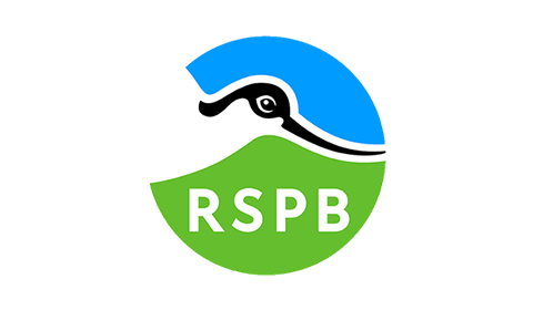 Peatland Project Manager - Vimarsana News